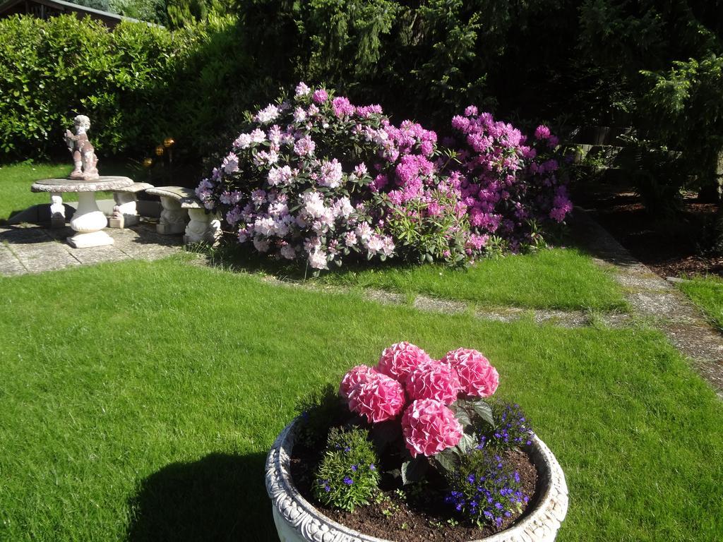 Gaestehaus Am Ahornweg Bernkastel-Kues Phòng bức ảnh